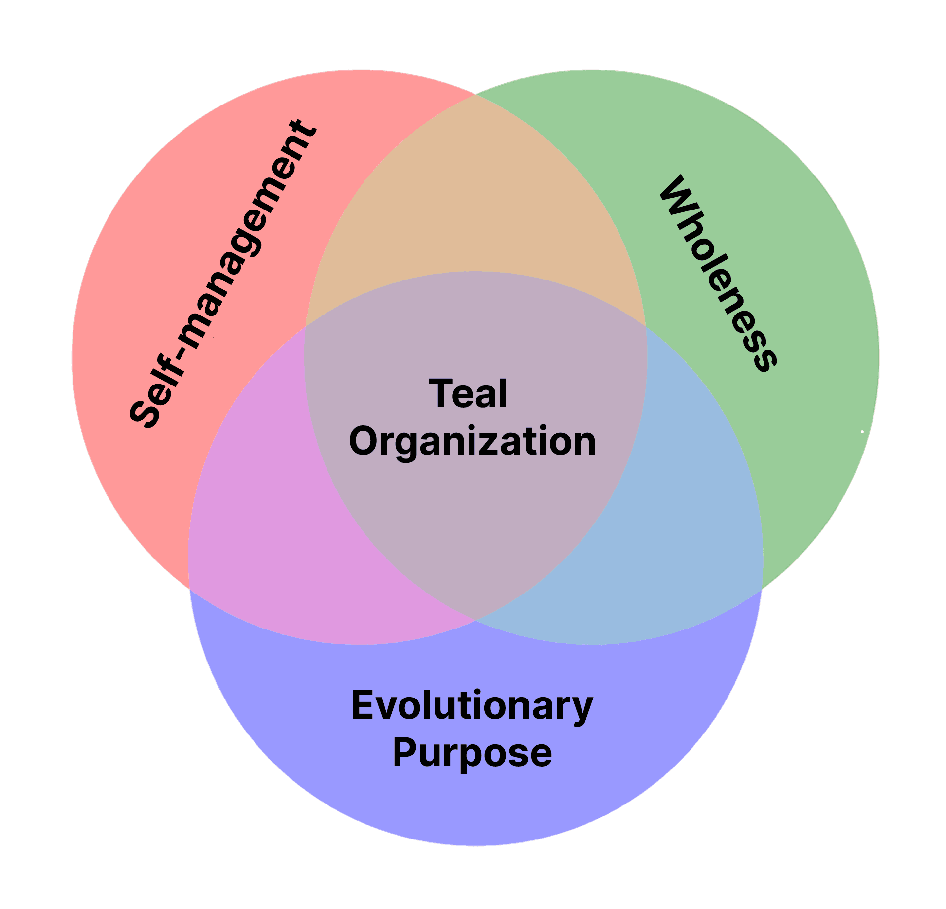 Principles of teal organizations