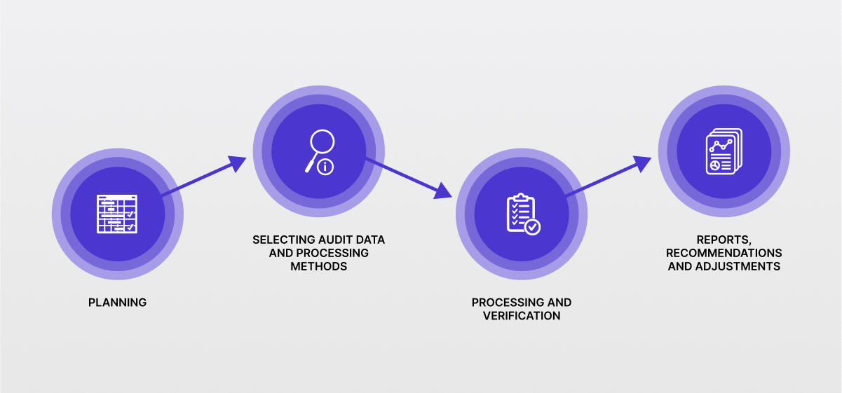 Phases of data auditing