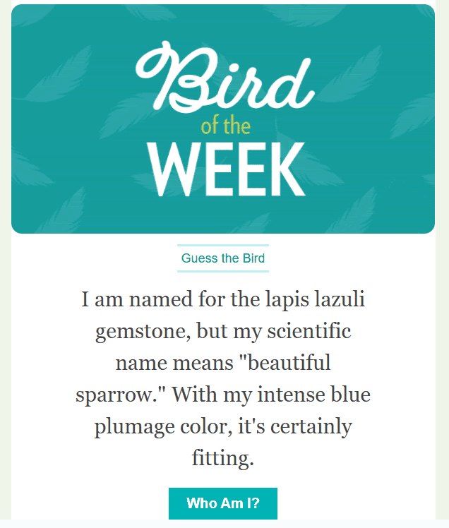 Email layout: different fonts