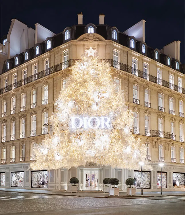 Installation on the facade from the Dior brand