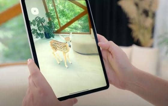 Mise en œuvre d'une application AR pour une pépinière ornementale
