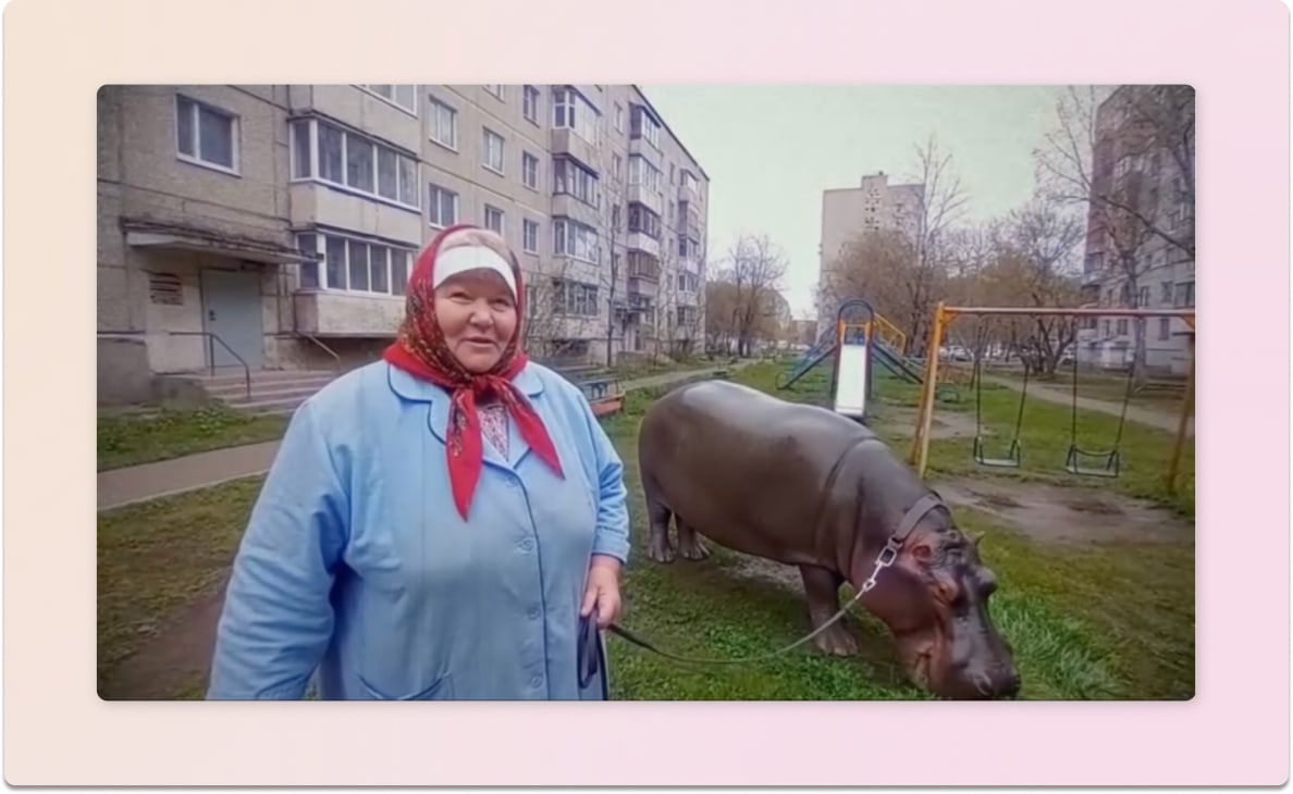 nejrobabushki-s-ruchnym-begemotom.jpg