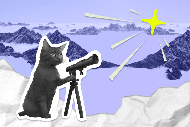 North Star Metric : Définition, Recherche et Exemples