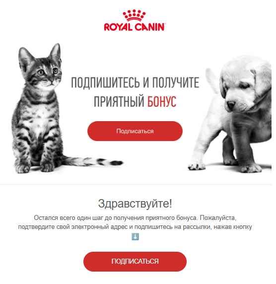 Письмо-подтверждение регистрации