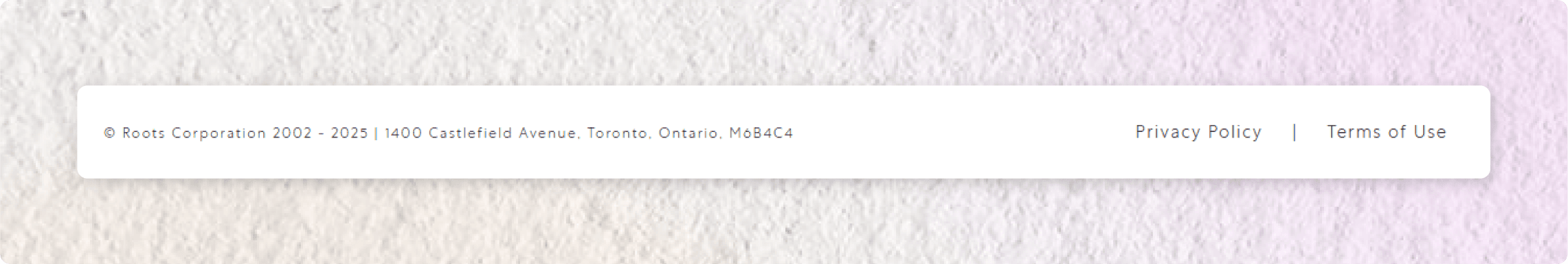 Privacy policy example