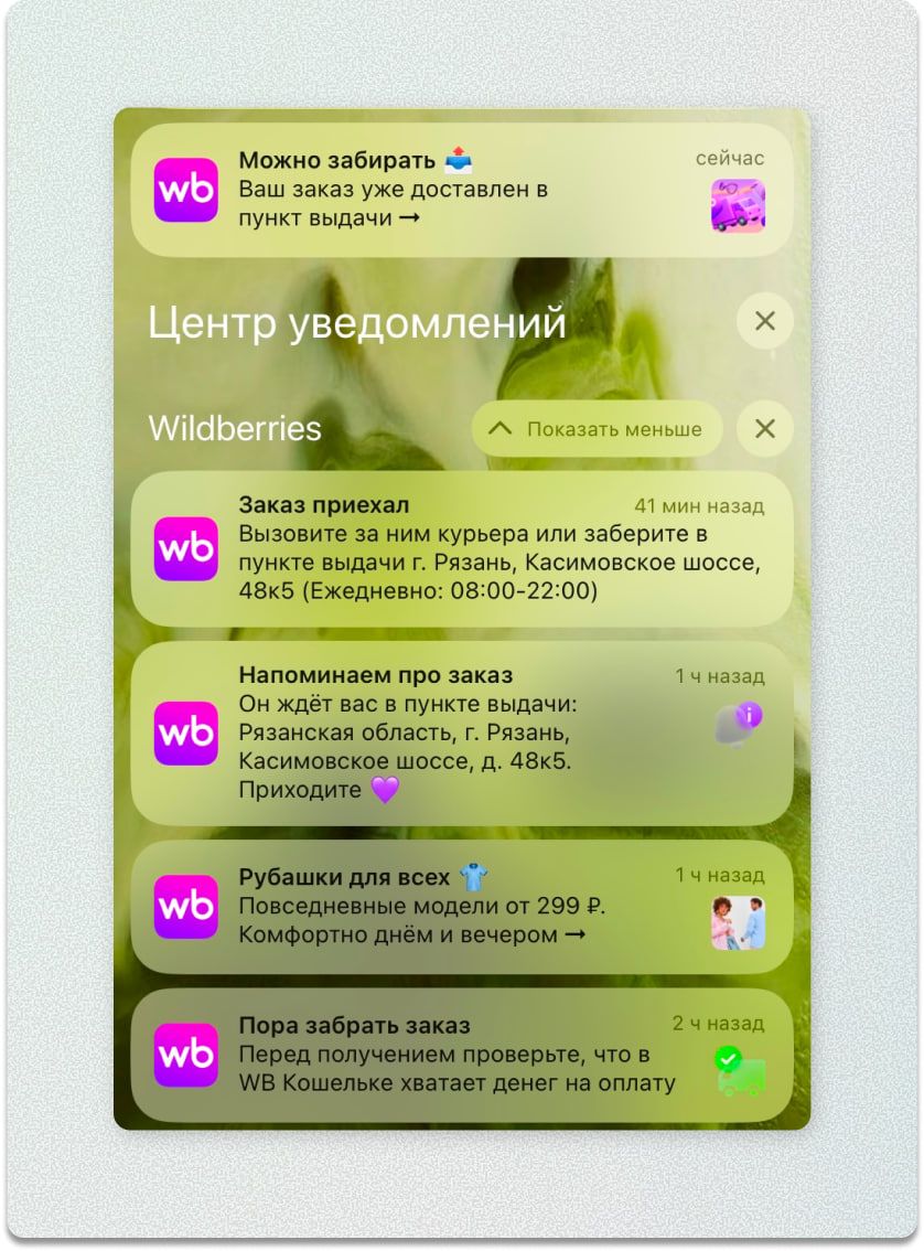 wildberries-push.jpg