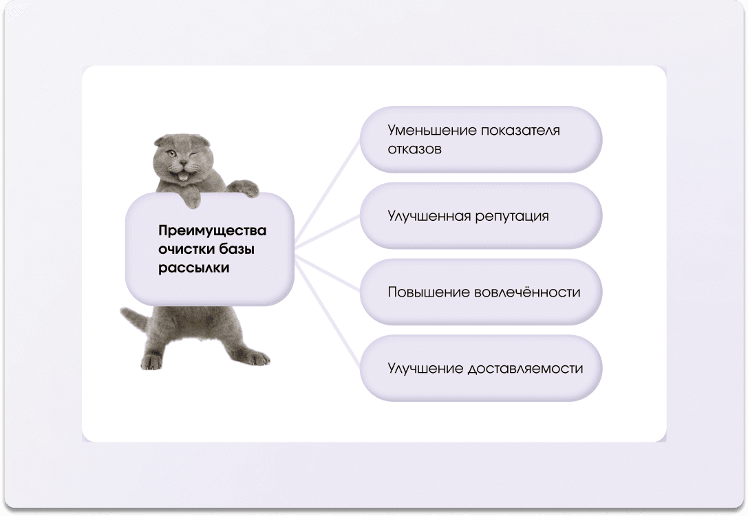 zachem-chistit-bazy.png